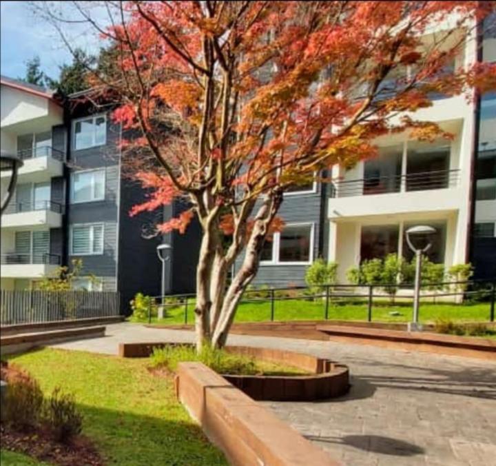 Departamento en Puc�n