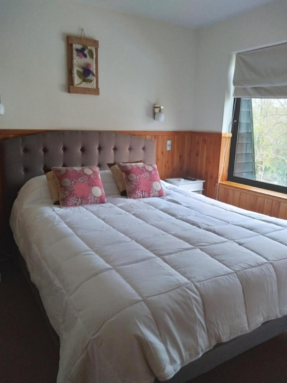 Departamento camino al volc�n