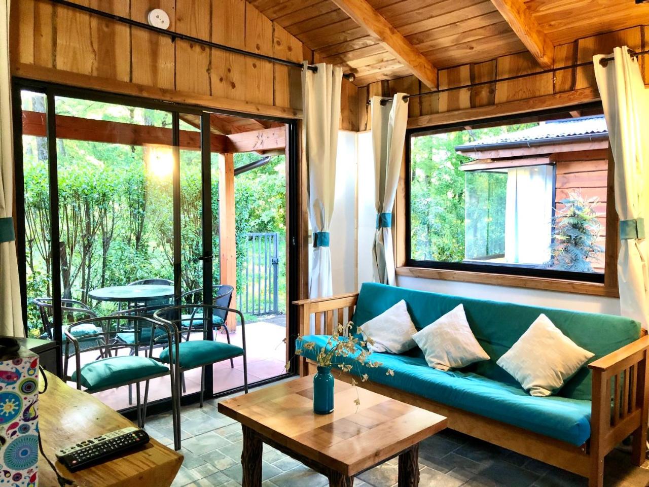 Caba�as Peumay�n Neltume