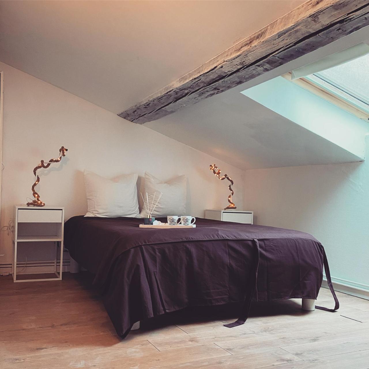 Superbe duplex en plein cœur de Nancy - Housity