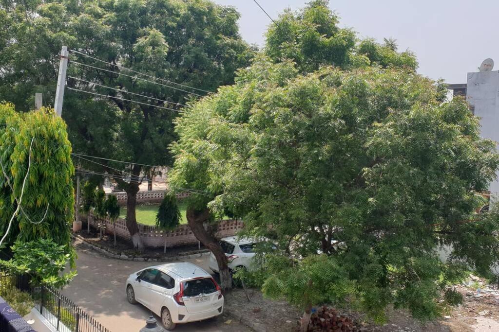 3Bhk zpLUXURIOUS INDEPENDENT - Housity