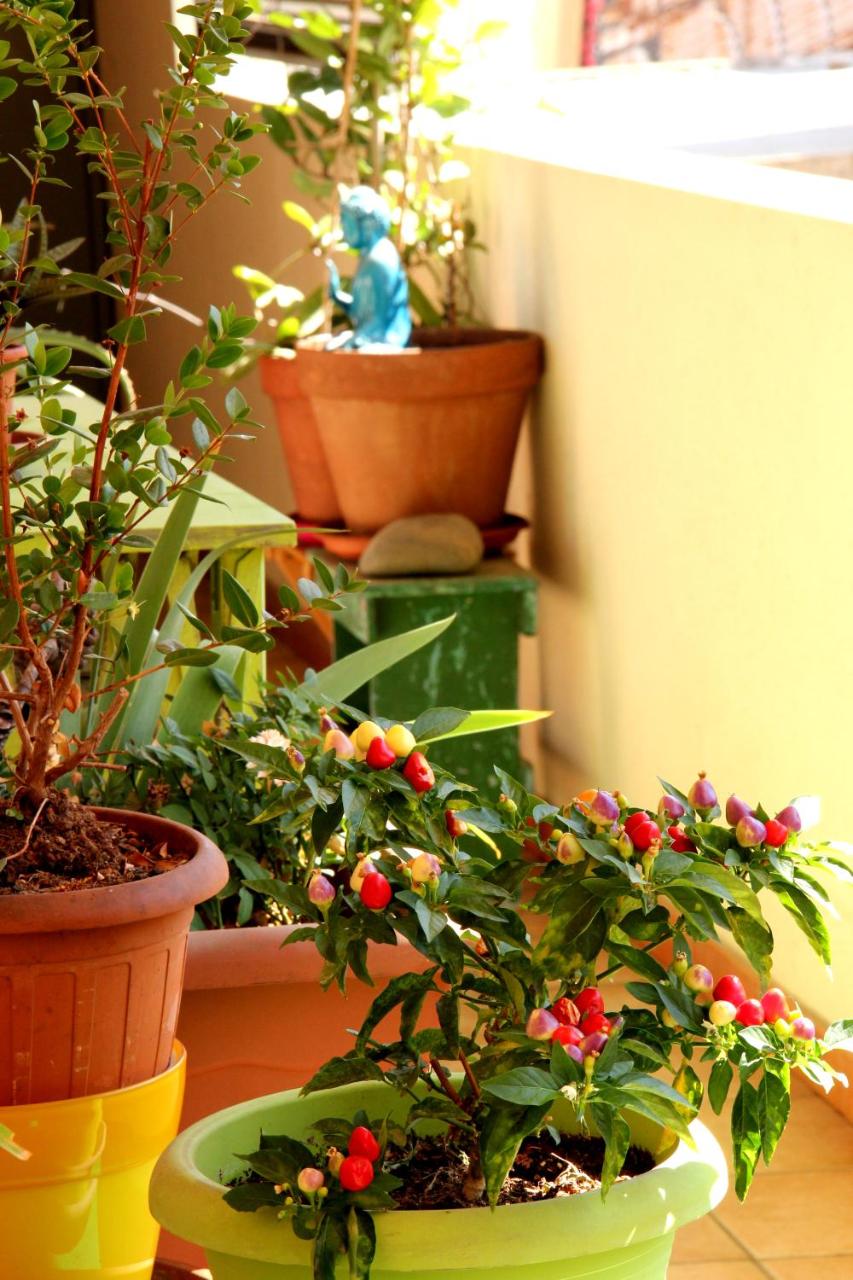 Cagliari  Diaz - Housity