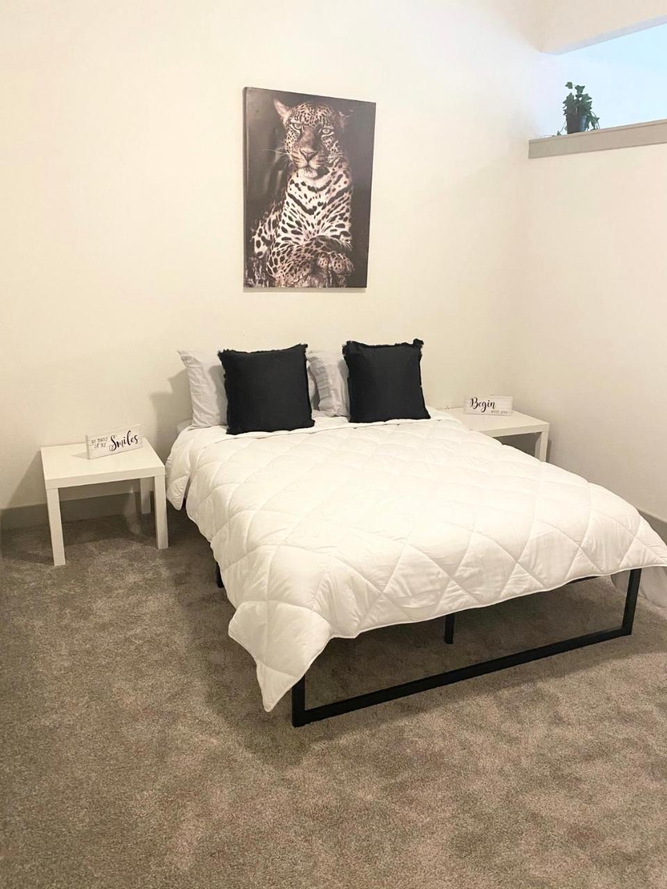 Beautiful Luxury stay in the heart of the city - Housity