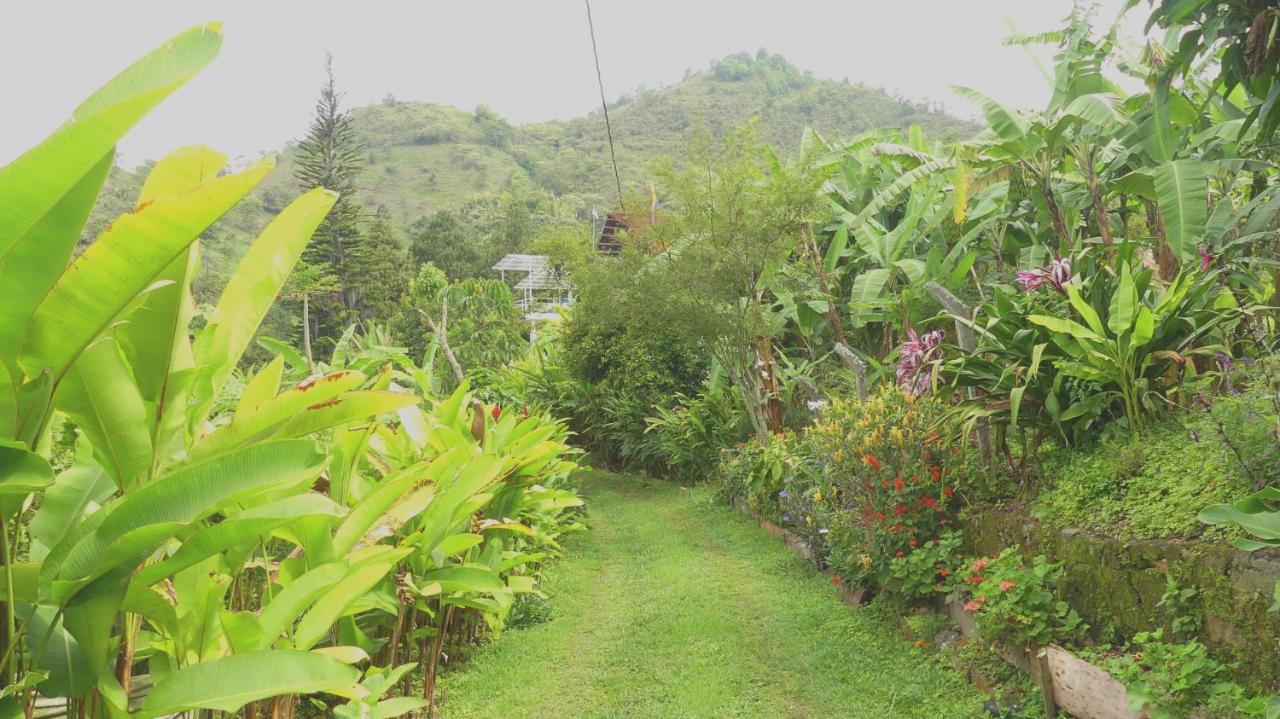 Villa Migelita Ecolodge - Housity