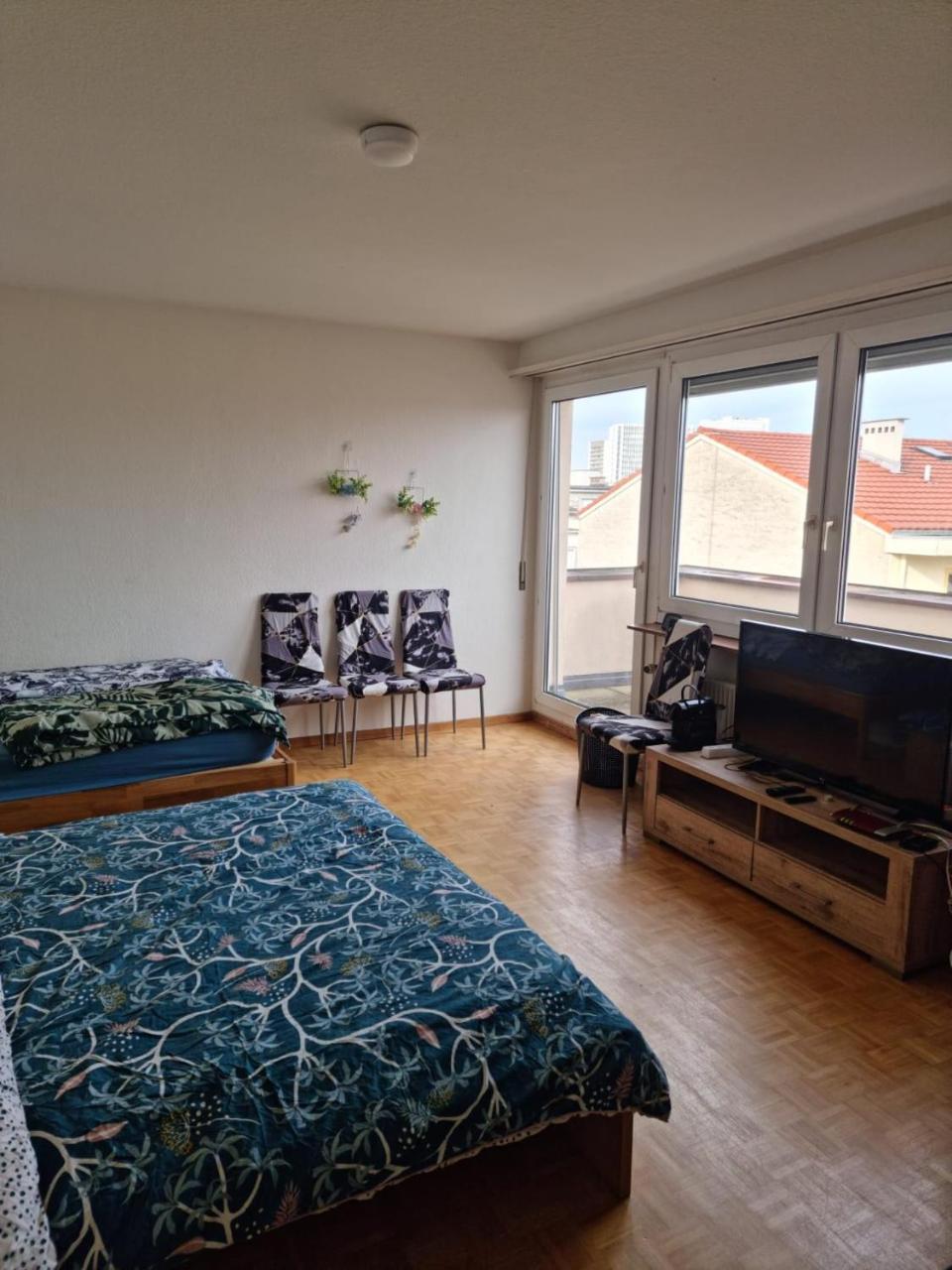 All the apartment in Basel up to 7 people - Housity