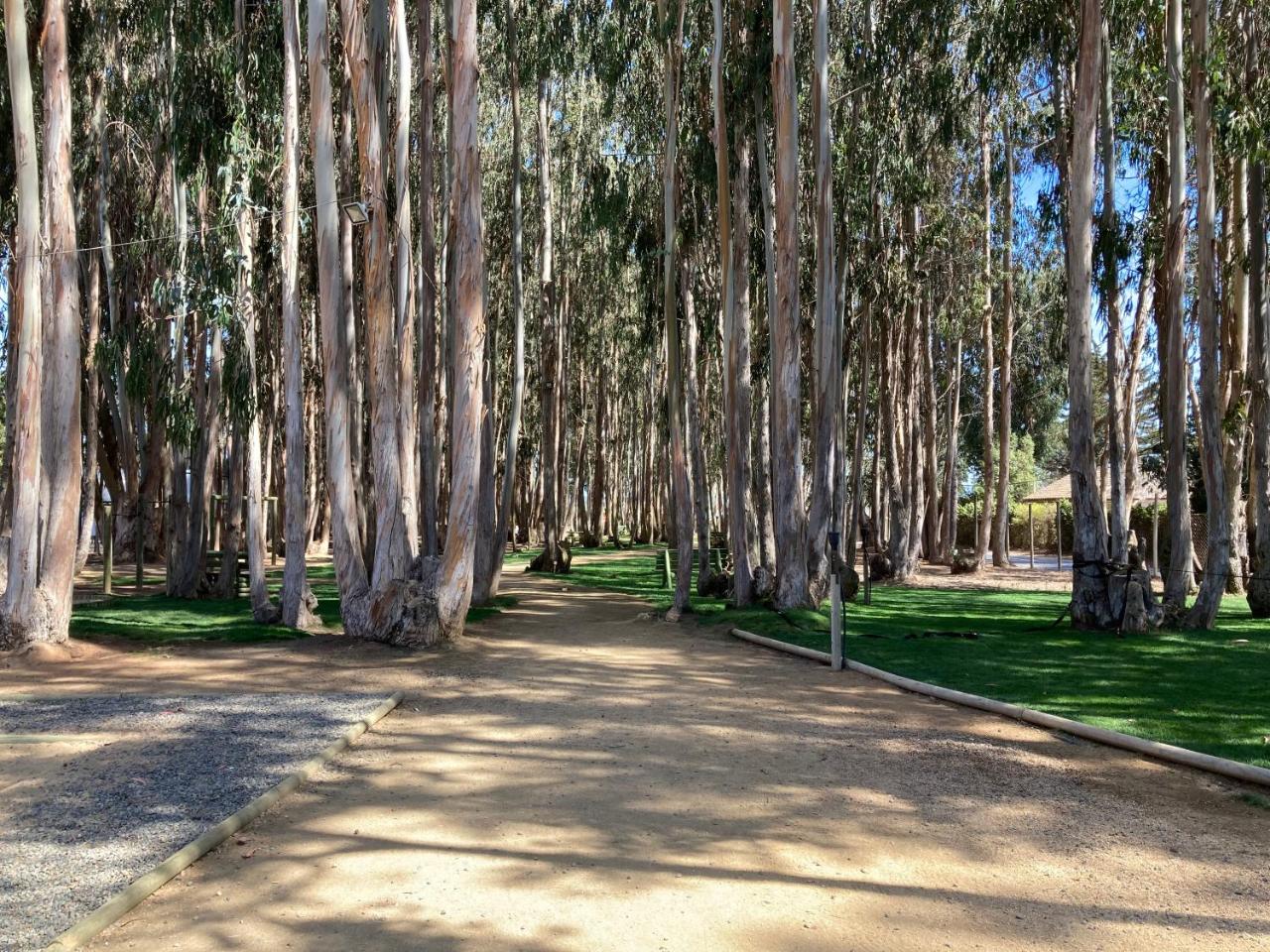 Depto en Costa Algarrobo Norte con wifi