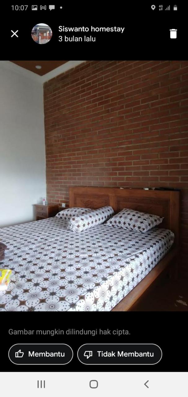 homestay siswanto - Housity