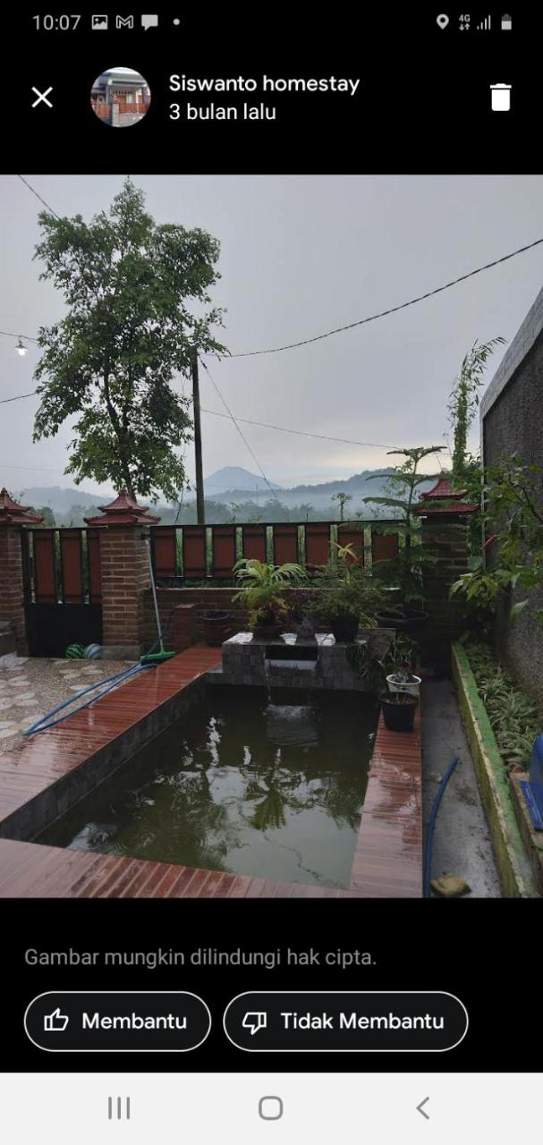 homestay siswanto - Housity