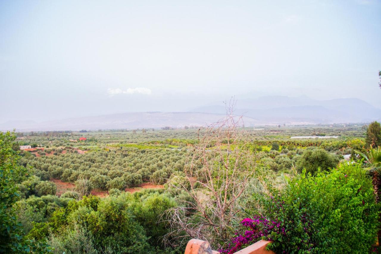 Oasis  Marrakech - Housity