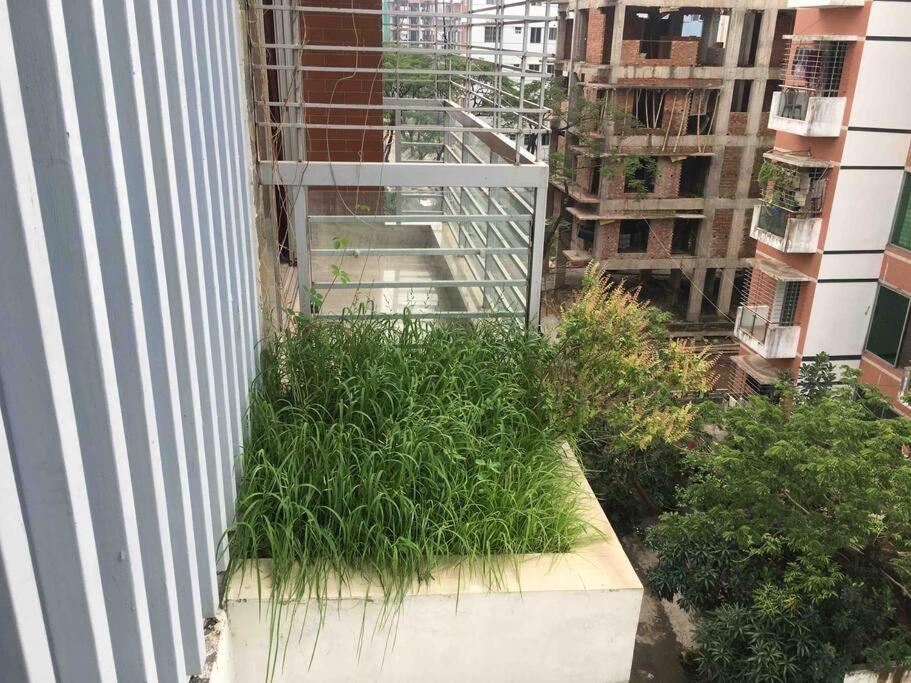 Spacious apartment in Bashundhara, Dhaka. - Housity