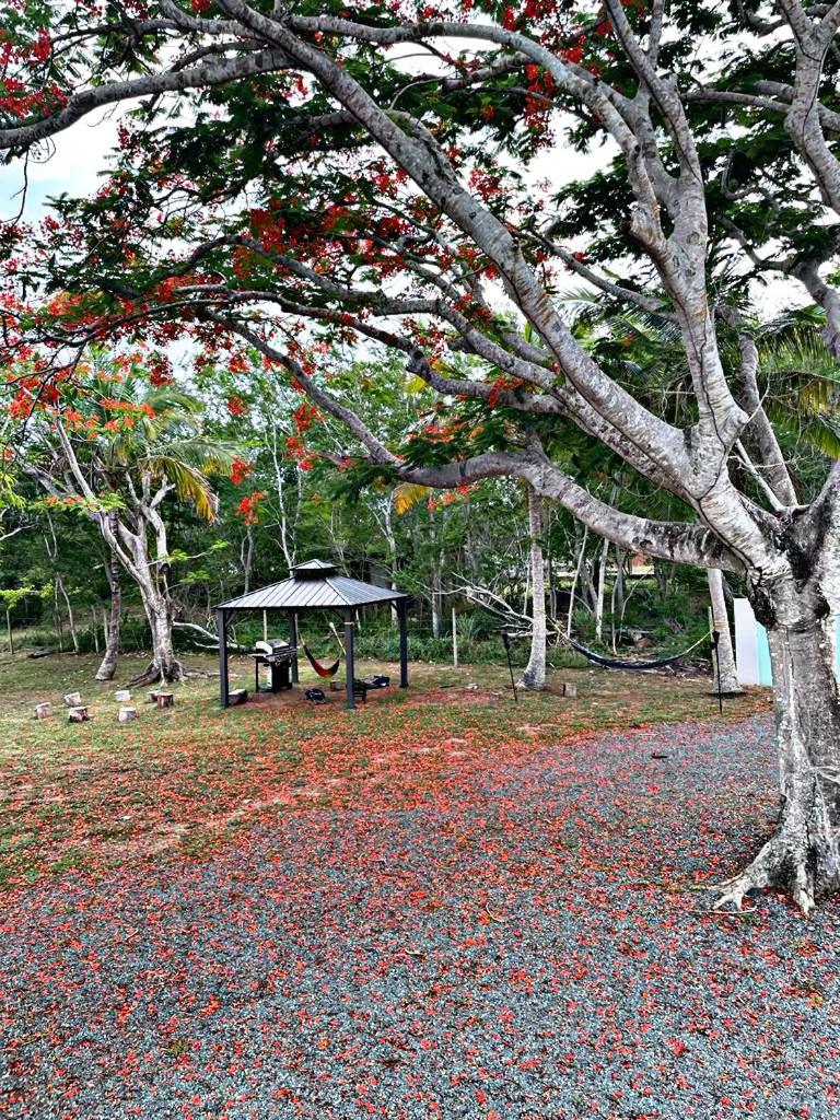 Monte Playa Beach House - Housity
