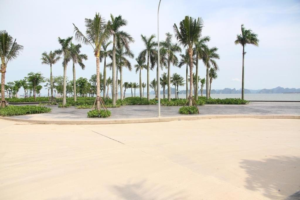 Maichi Premium Apartment Halong - Housity