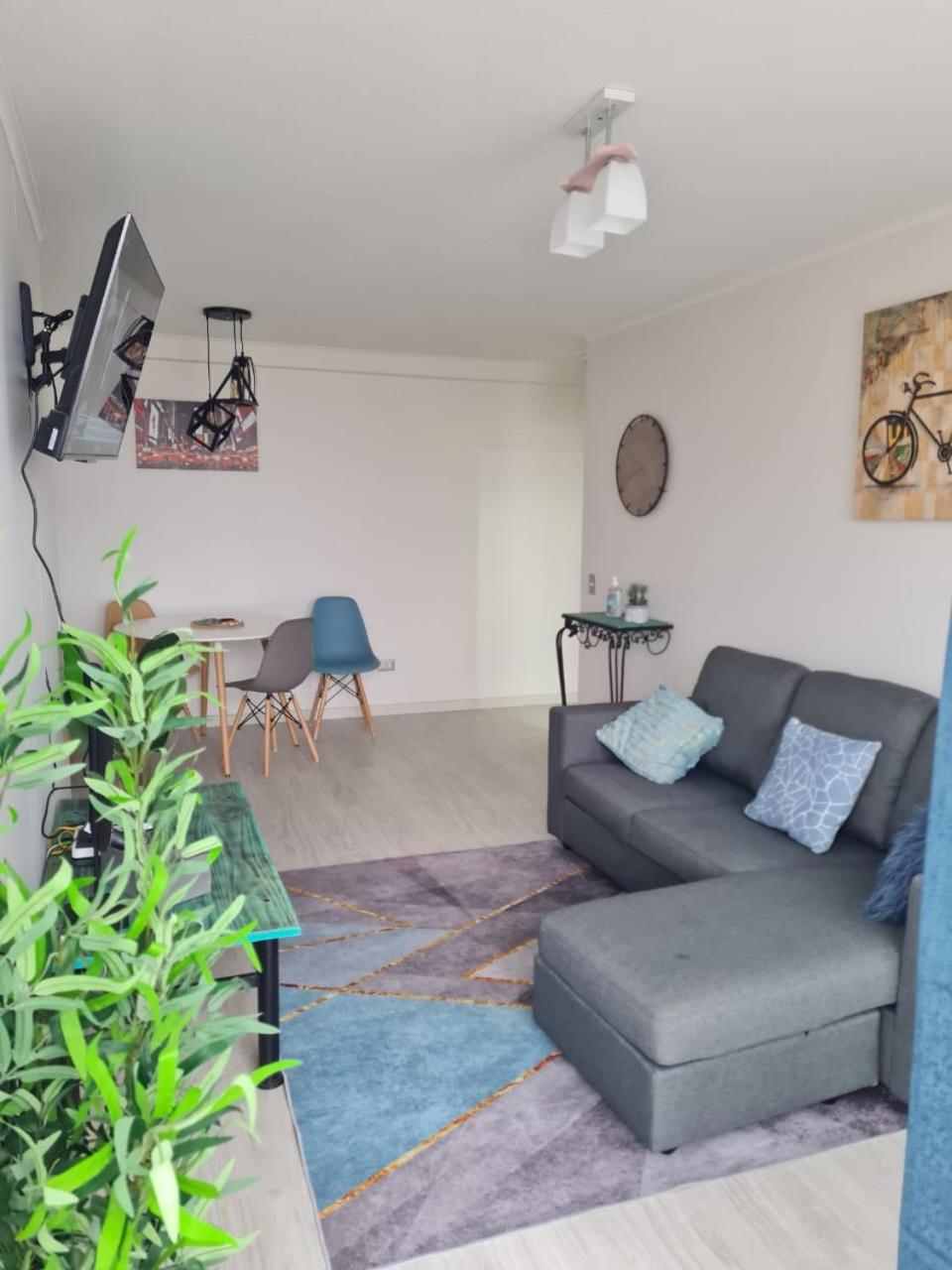 161 DEPARTAMENTO AMUNATEGUI