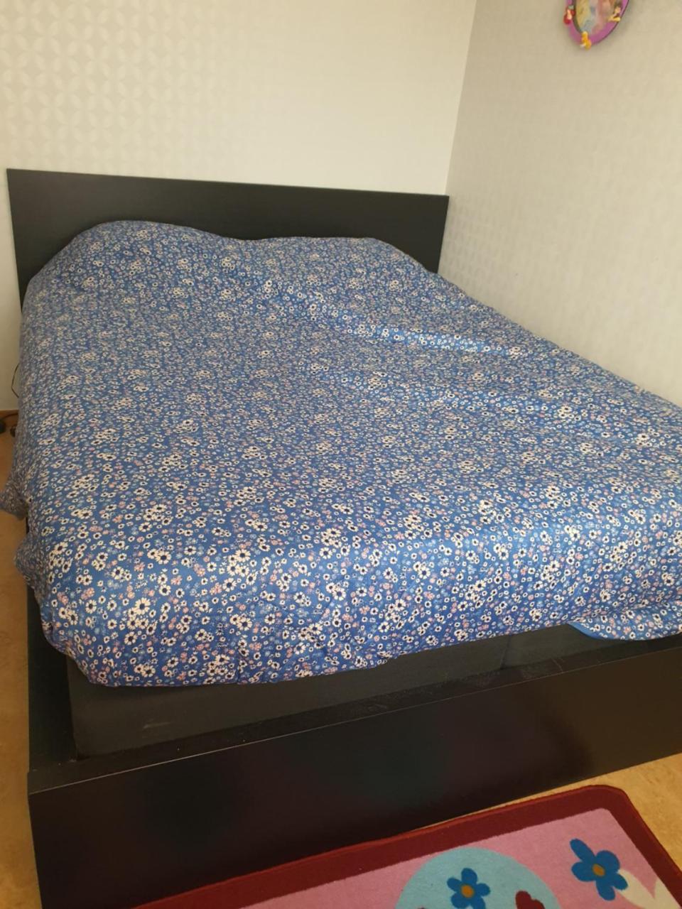 One room apartment - Housity