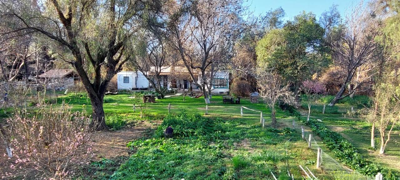 Villa Isabel - Housity