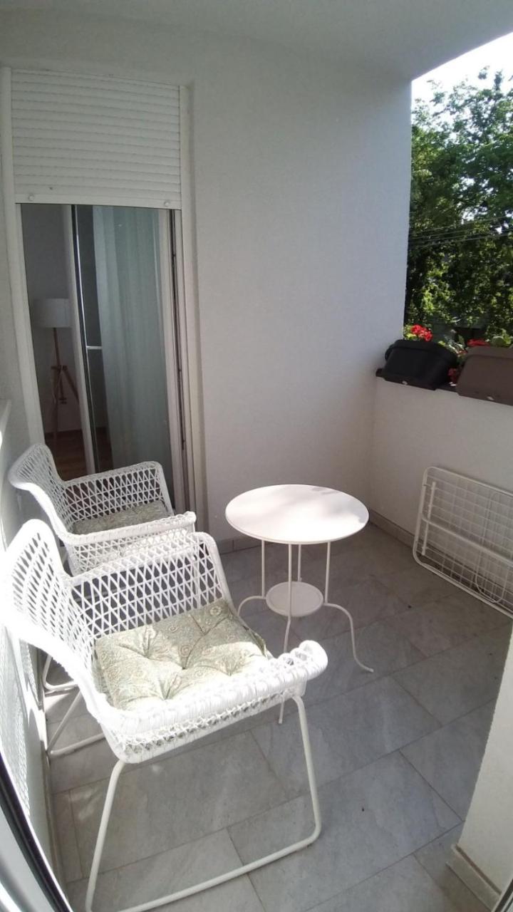 Apartman u centru Zrenjanina - Housity