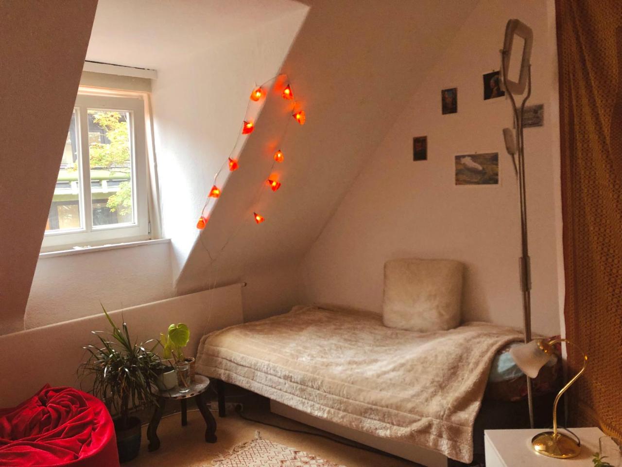 Schönes Privatzimmer in Göttinger Innenstadt - Housity