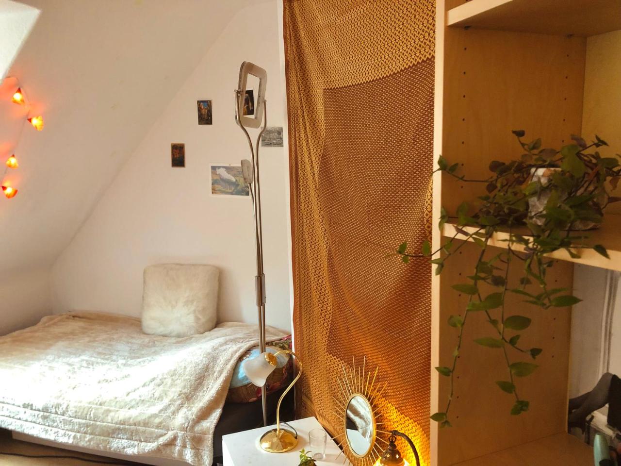 Schönes Privatzimmer in Göttinger Innenstadt - Housity