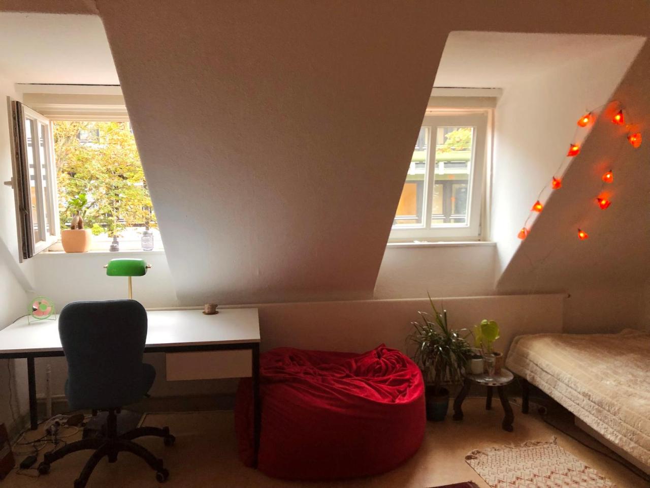 Schönes Privatzimmer in Göttinger Innenstadt - Housity