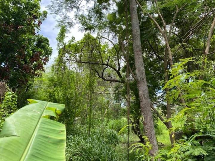 Fully Furnished - Housity