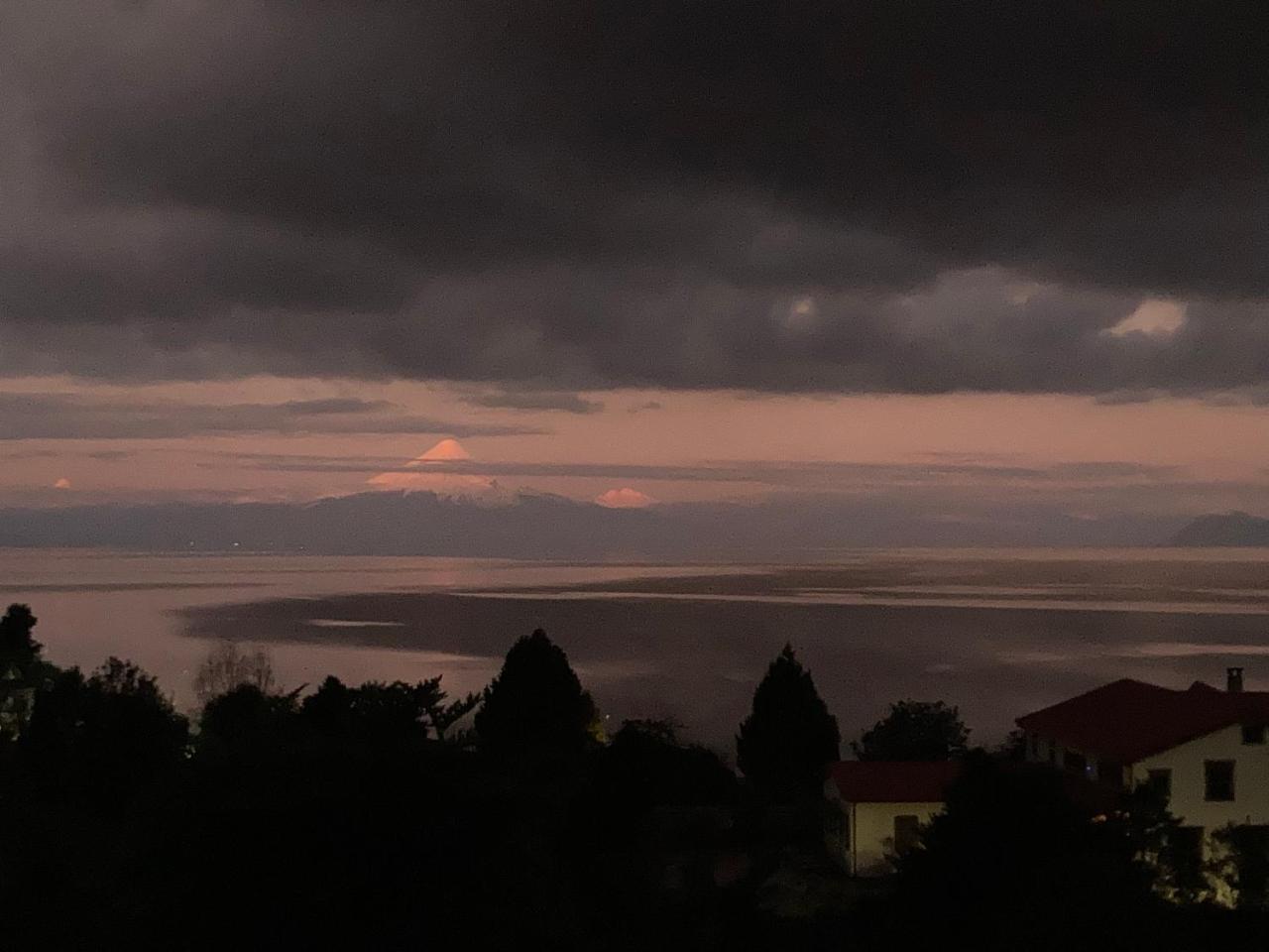 Caba�as el Bosque Patag�nico