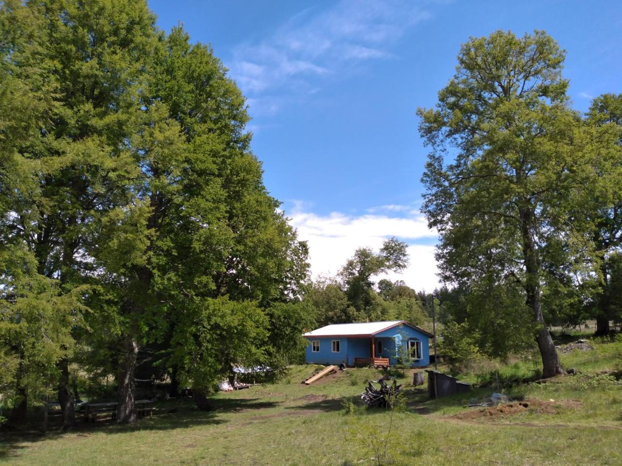 Casa Azul Conguillio caba�a