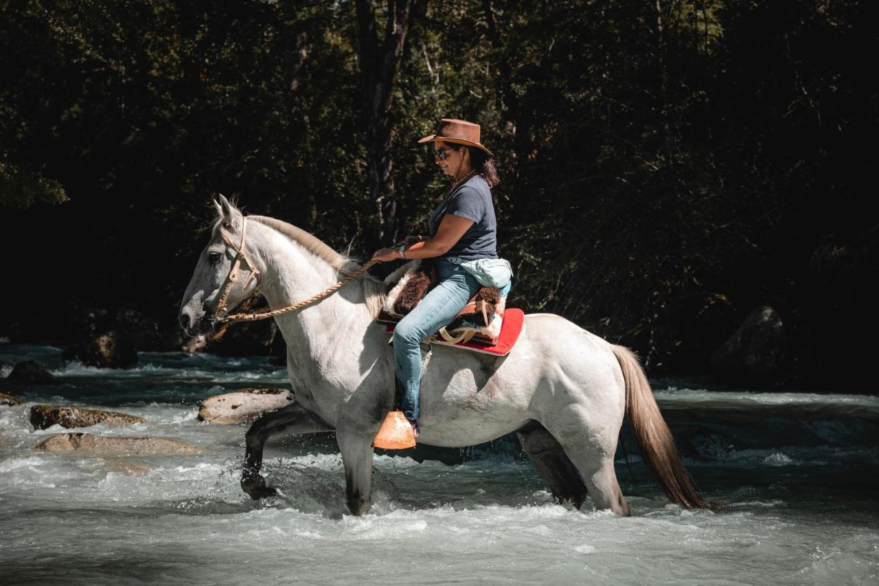 Patagonia East River