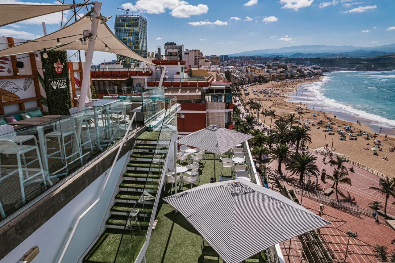 Image: Hotel Aloe Canteras