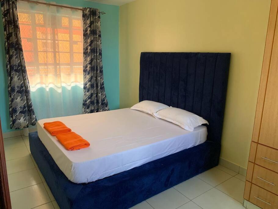 Trafina Homes-Lovely 1 bedroom - Housity