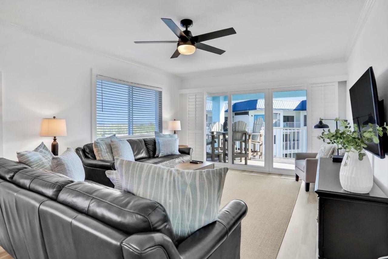 Image: Sand Dollar 501