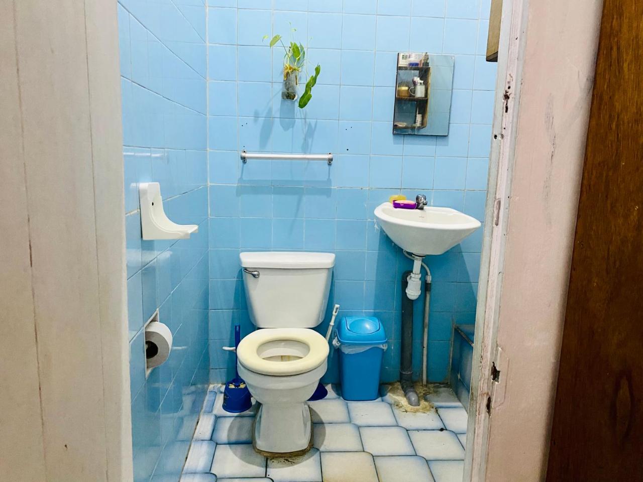 Bien Plantado Vegan Restaurant & Housing - Housity