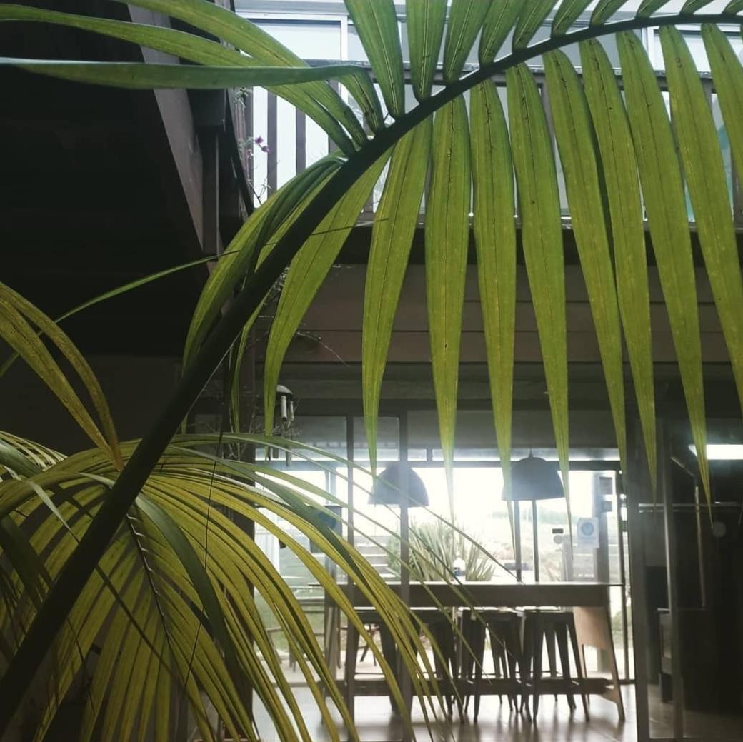 Image: Hotel