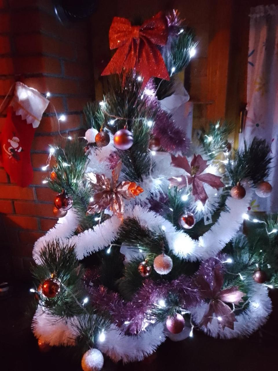 Kuca za odmor Darija - Housity