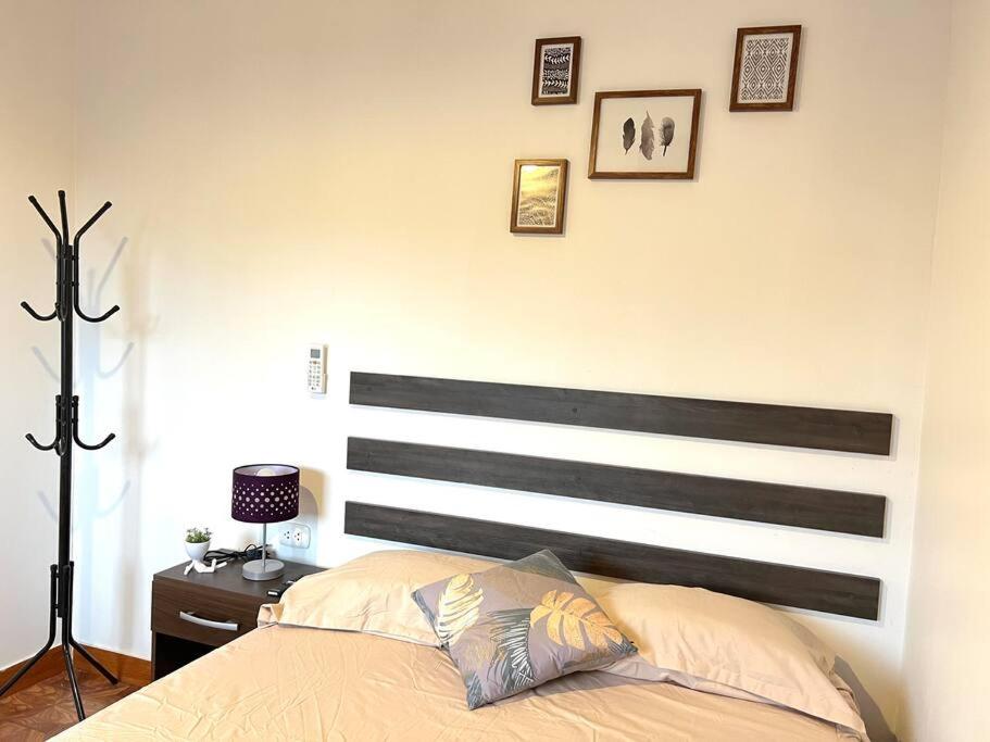 Century Loft - Housity