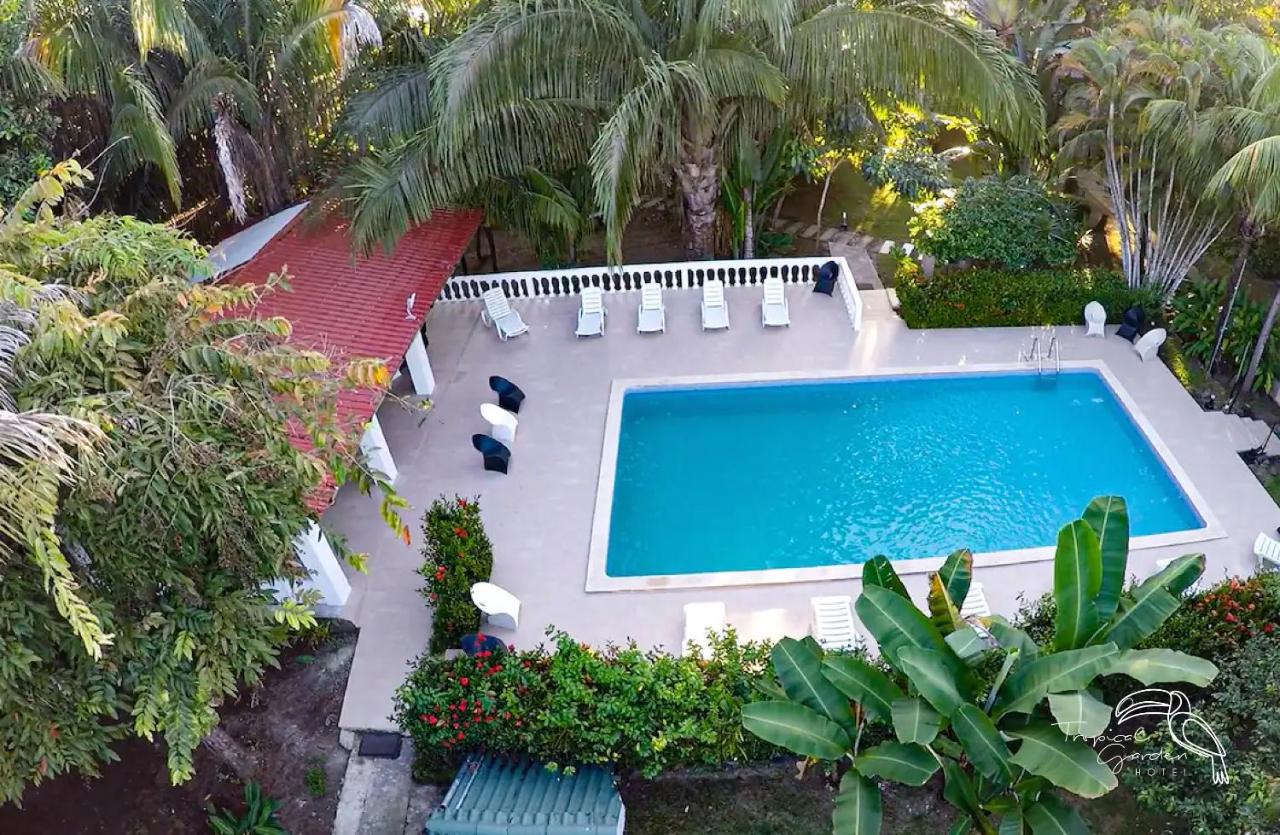 Image: Tropical Garden Hotel