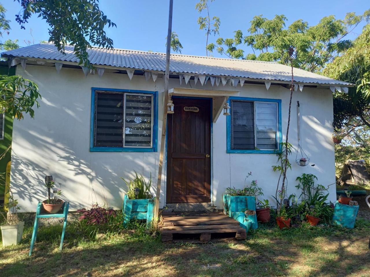 House Honu Rapanui inn