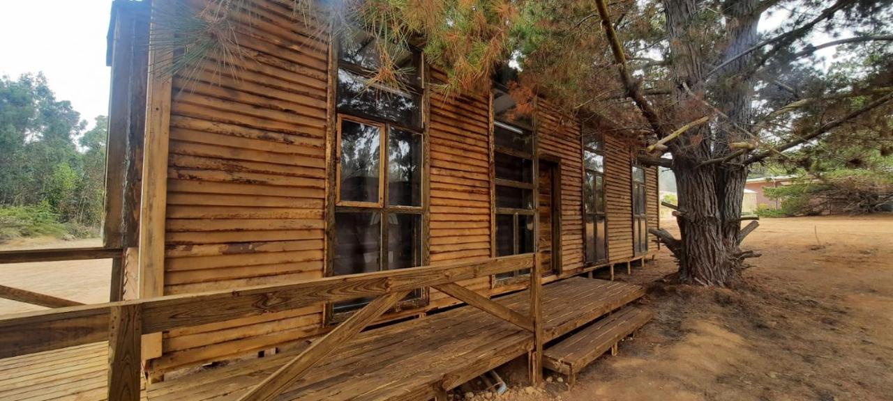 CABA�AS MIRASOL ALGARROBO