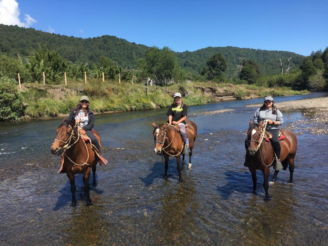 La Aldea Malalcahuello