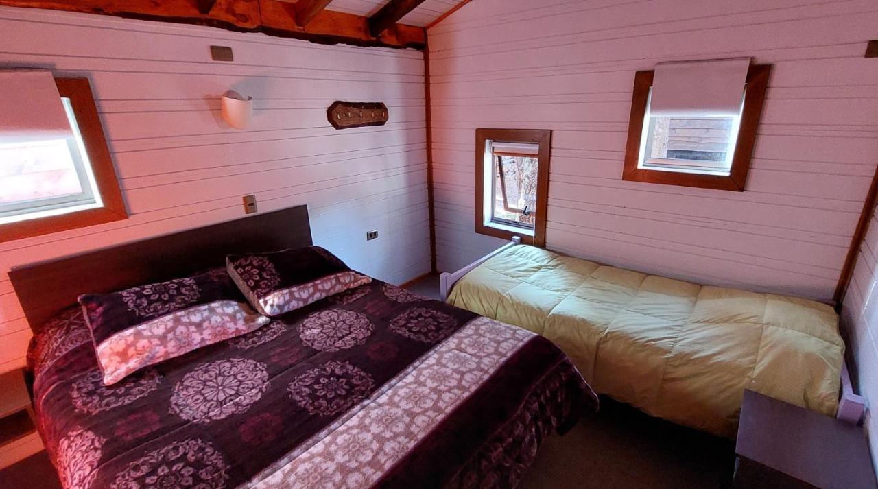 Caba�as Alto Lonquimay