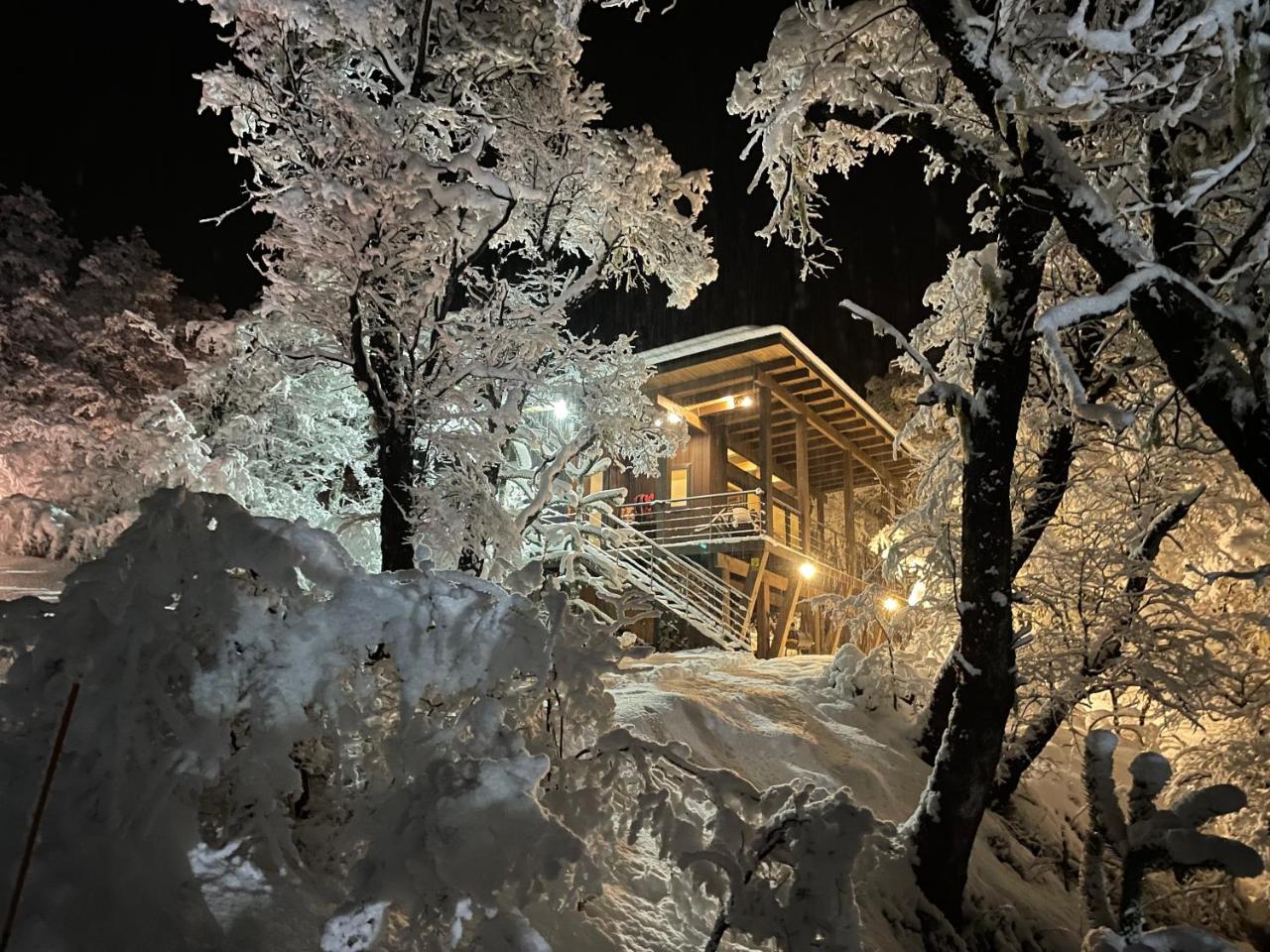 Caba�as Vista a Corralco