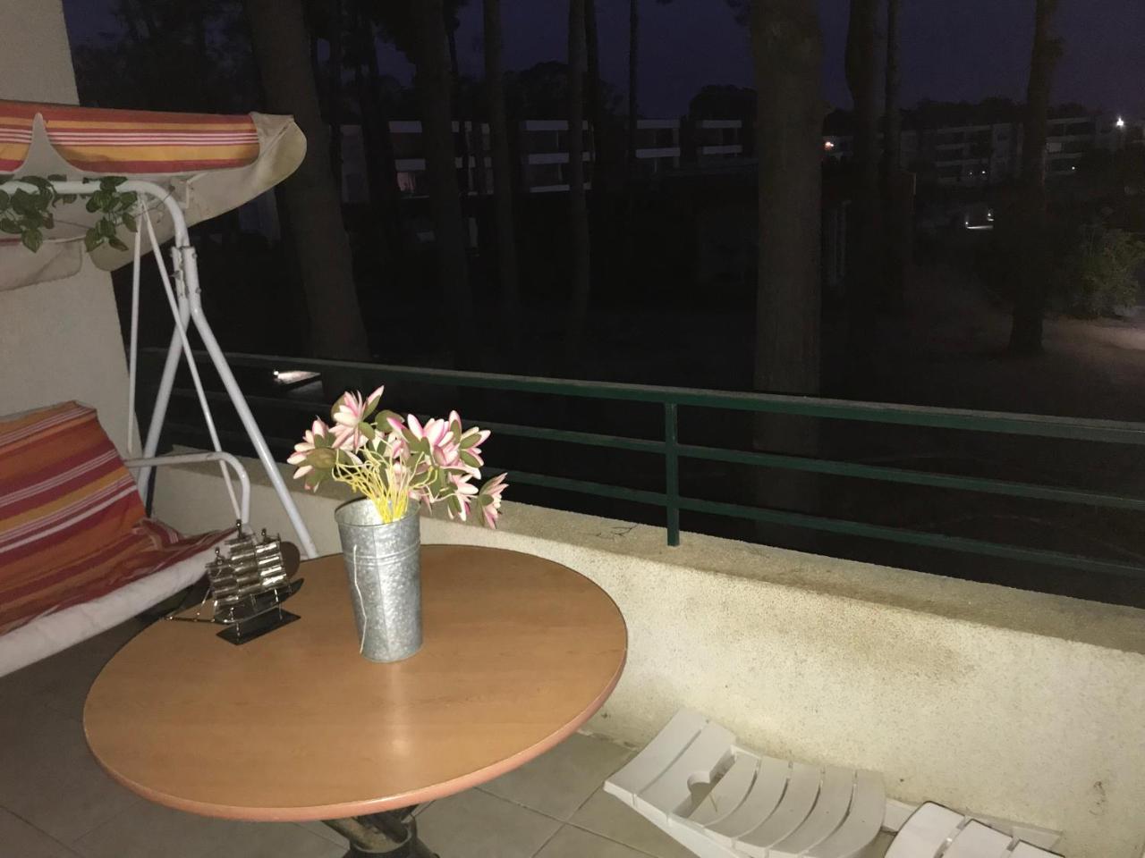 regatas de algarrobo