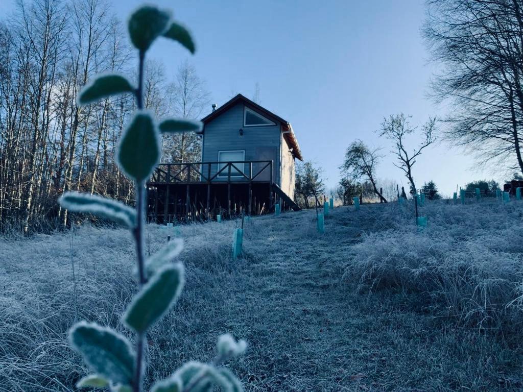 Refugio Pulli Tierra y naturaleza