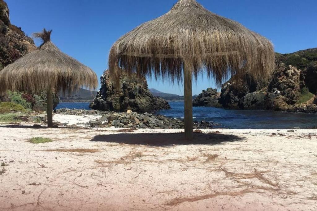 Caba�a (entre Pichidangui y los Vilos)