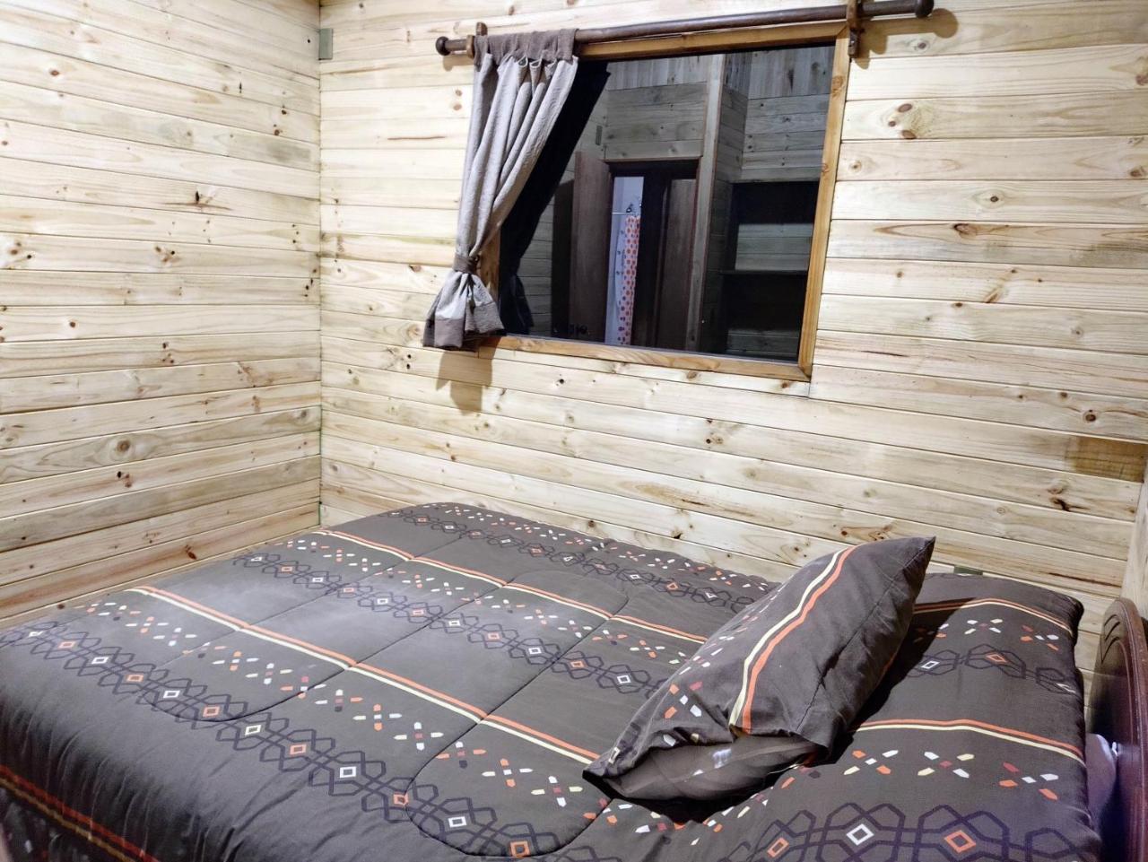 Caba�as pucon cerduo