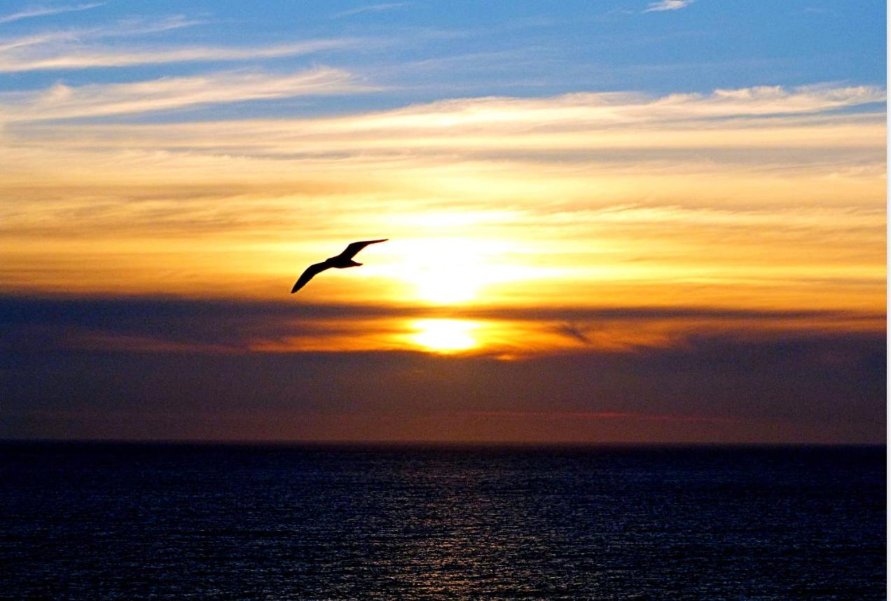 Espacioso y Hermoso departamento con vista 180� al mar insuperable! Excelente ubicaci�n, conexi�n directa a la playa - caminable, con estacionamiento, vigilancia 24-7, a minutos del Mall Marina