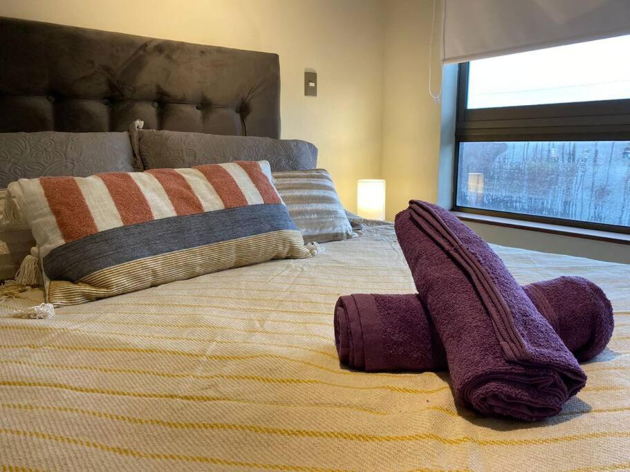 Acogedor y c�modo depto. 2d+2b