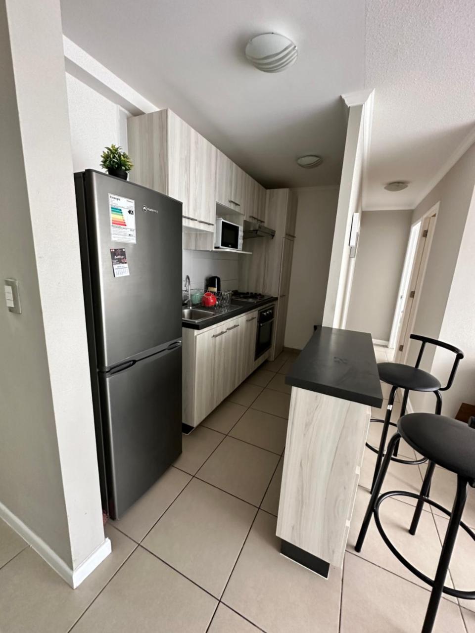 DEPARTAMENTO ARRIENDO DIARIO