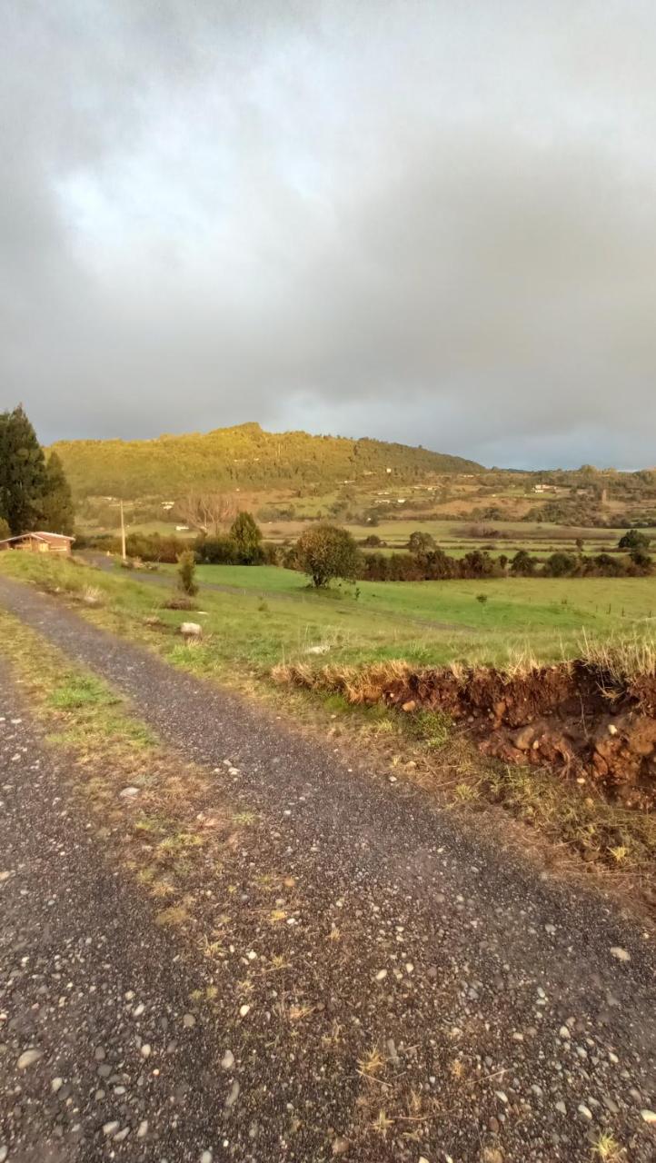 Caba�as don Panchito