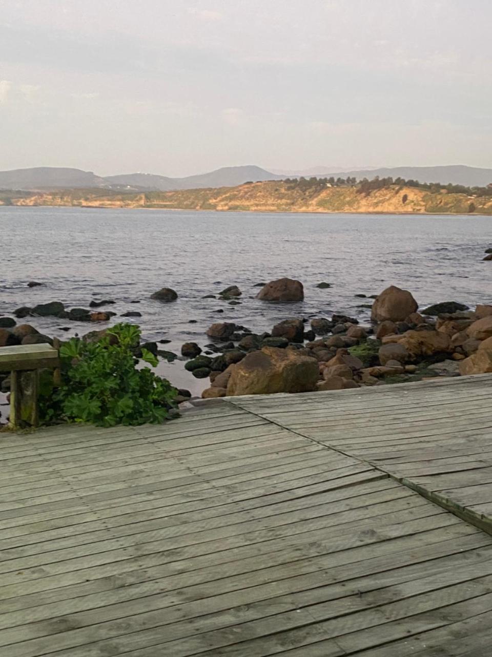 Hostal do�a flor y sus 2 maridos