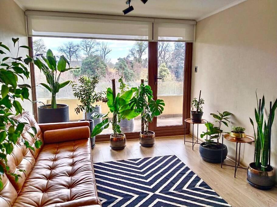 Departamento frente al lago Villarrica